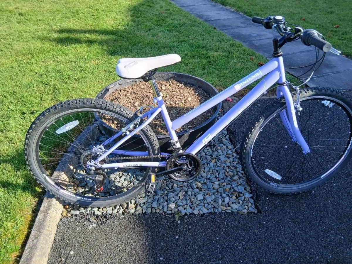 Girls Bike 26 inch - Image 2