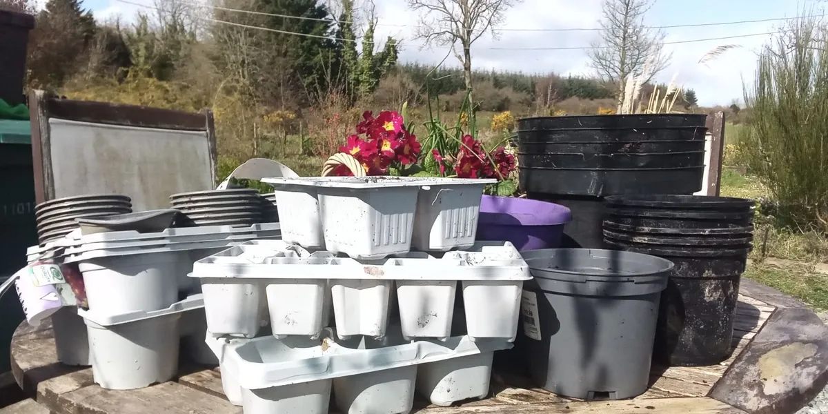 Plant Pots For *SALE * - Image 1