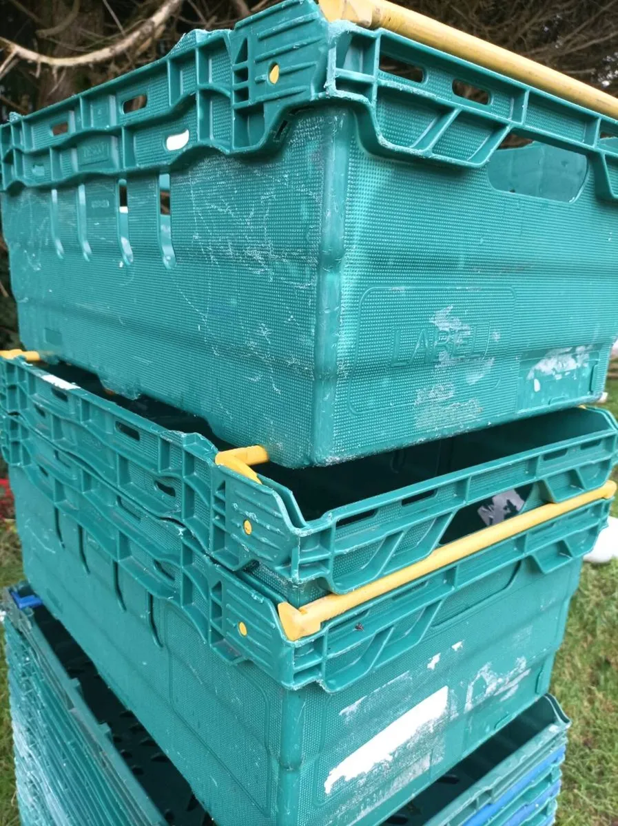 Plastic storage crates - Image 2