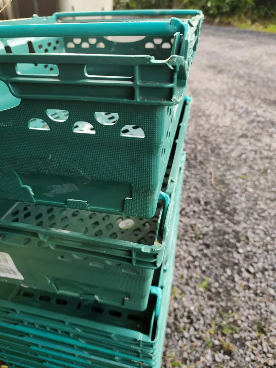 Plastic storage crates - Image 4