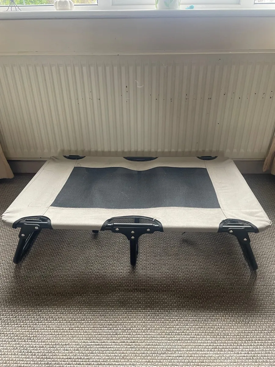 Dog bed, toys, leash - Image 1