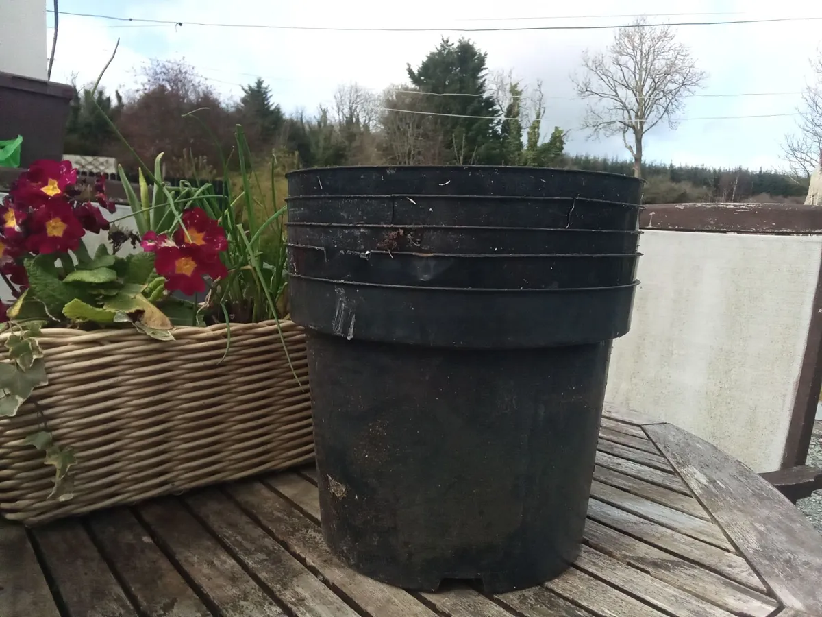 Plant Pots For *SALE * - Image 3