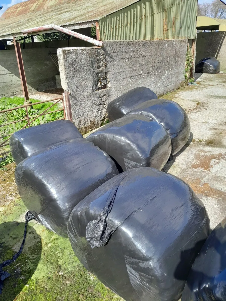Silage bales - Image 2