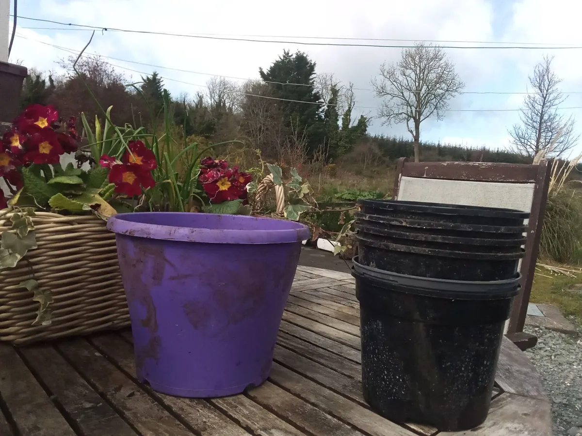 Plant Pots For *SALE * - Image 4