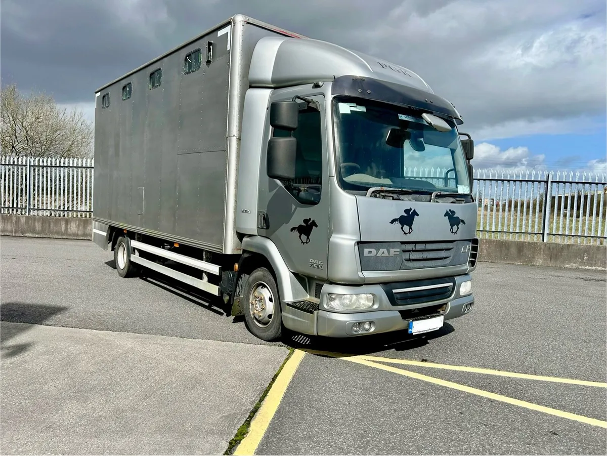 Daf horse box - Image 1