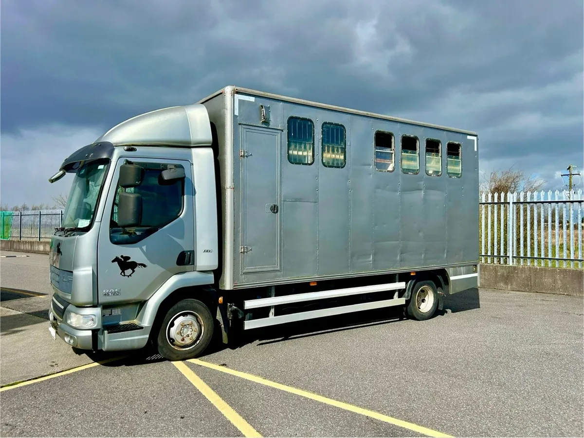 Daf horse box - Image 3