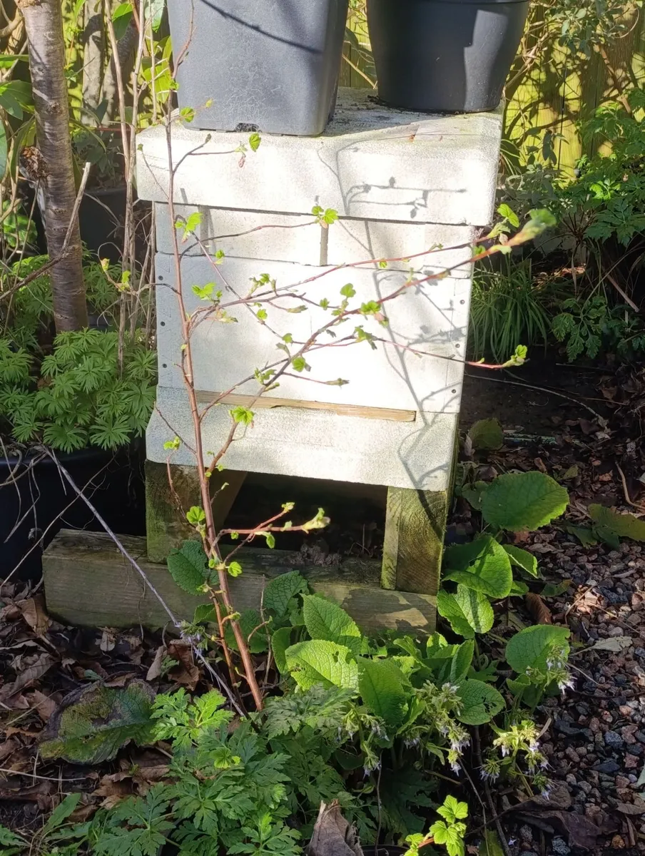 Polystyrene beehives