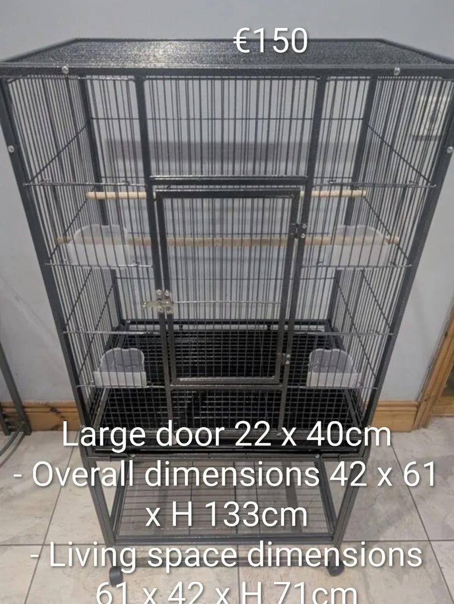 Budgies, cages and hand rearing feeding equipment - Image 4
