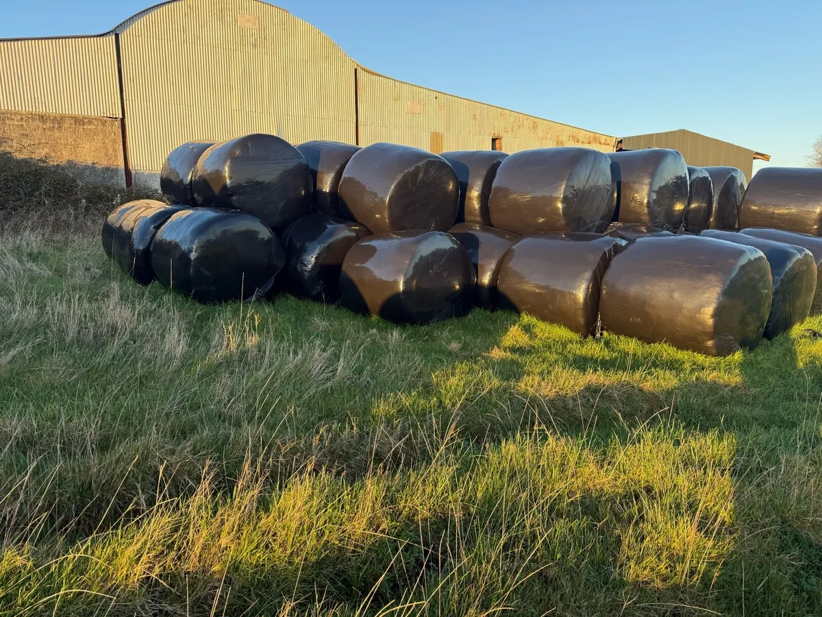 Silage bales round - Image 1