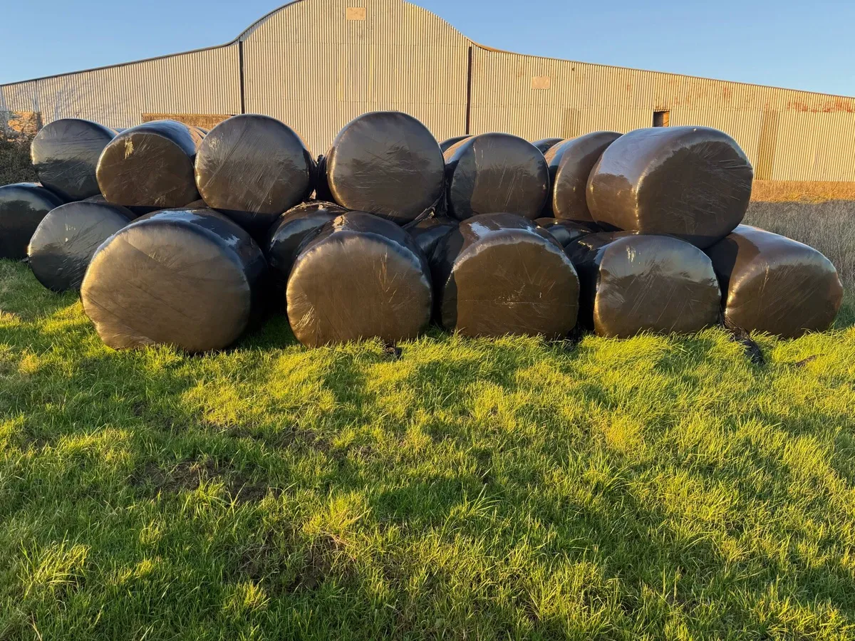 Silage bales round - Image 2