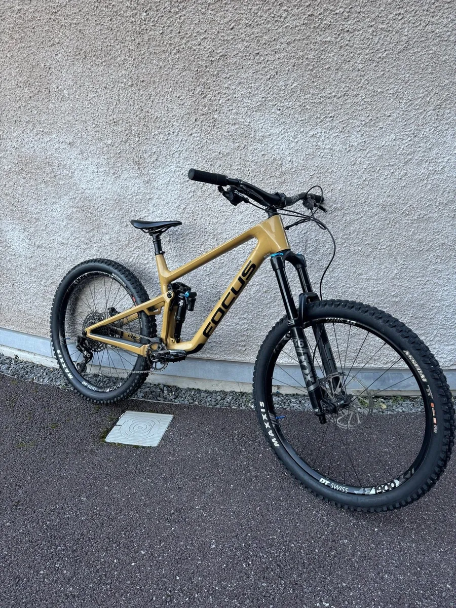 Focus Sam 9.9 2023 - Image 1