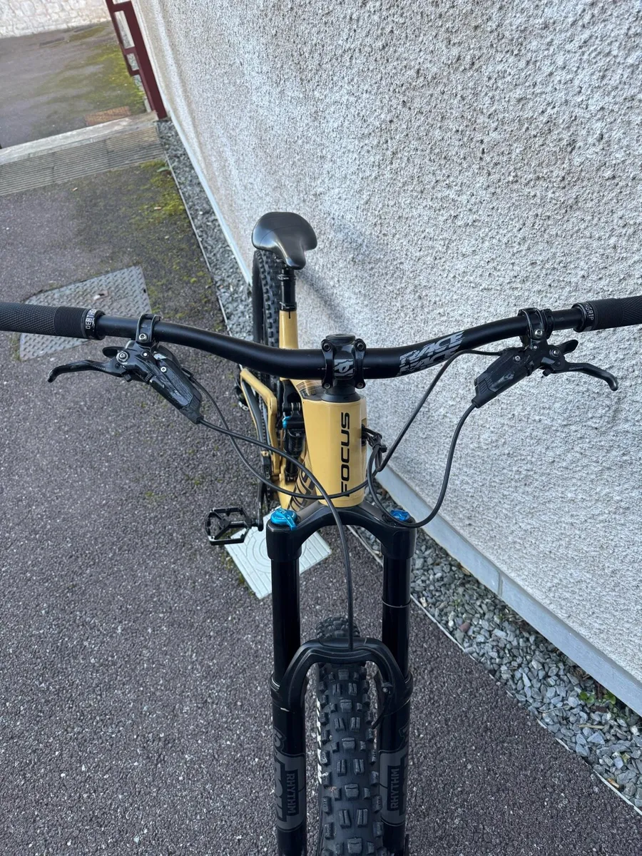 Focus Sam 9.9 2023 - Image 3