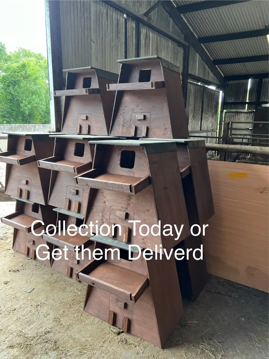 Owl boxes and bat boxes - Image 1