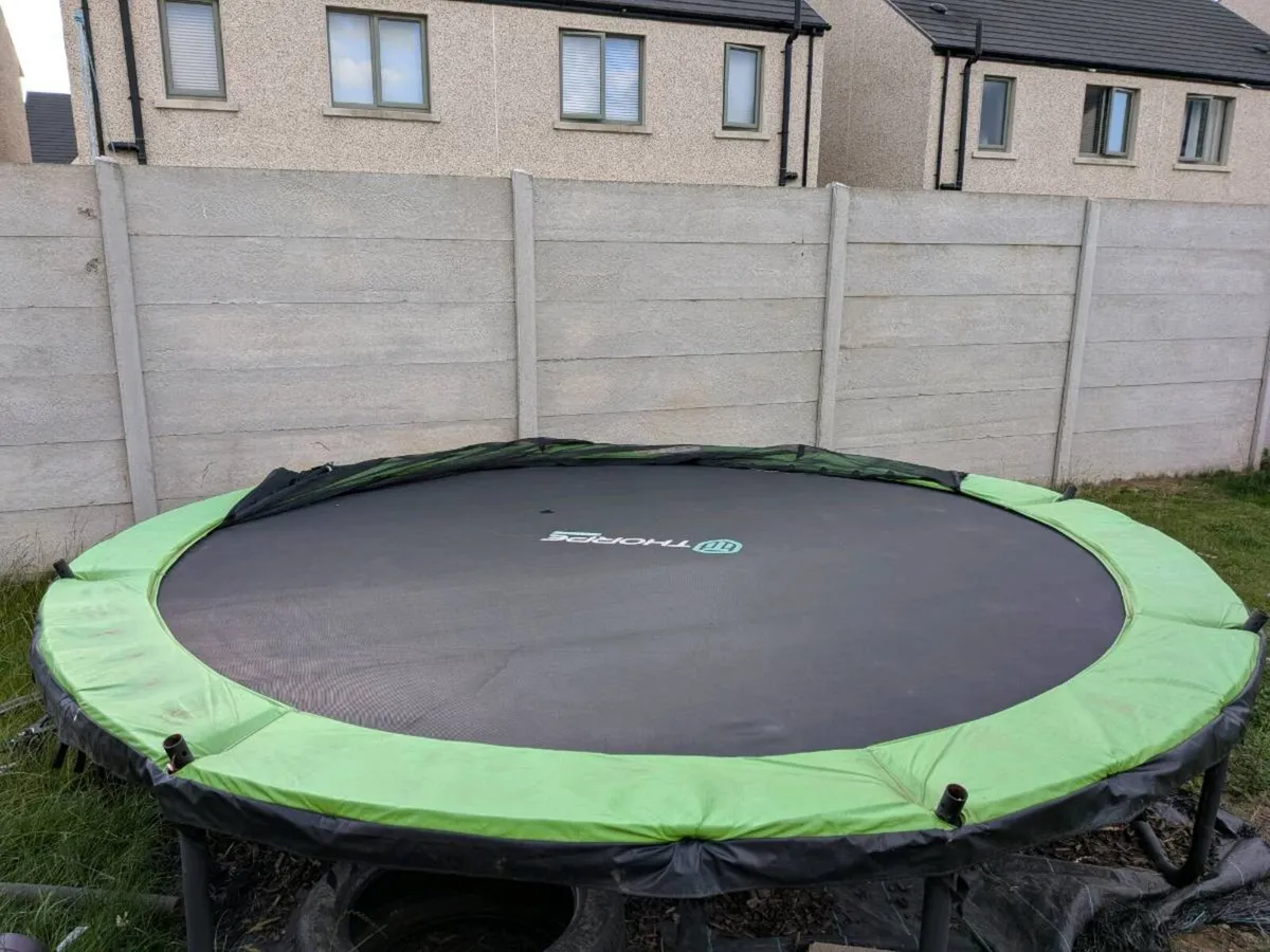 Trampoline - Image 2