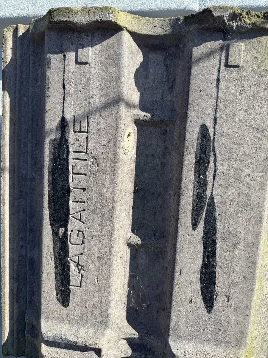 Slates and tiles. - Image 4
