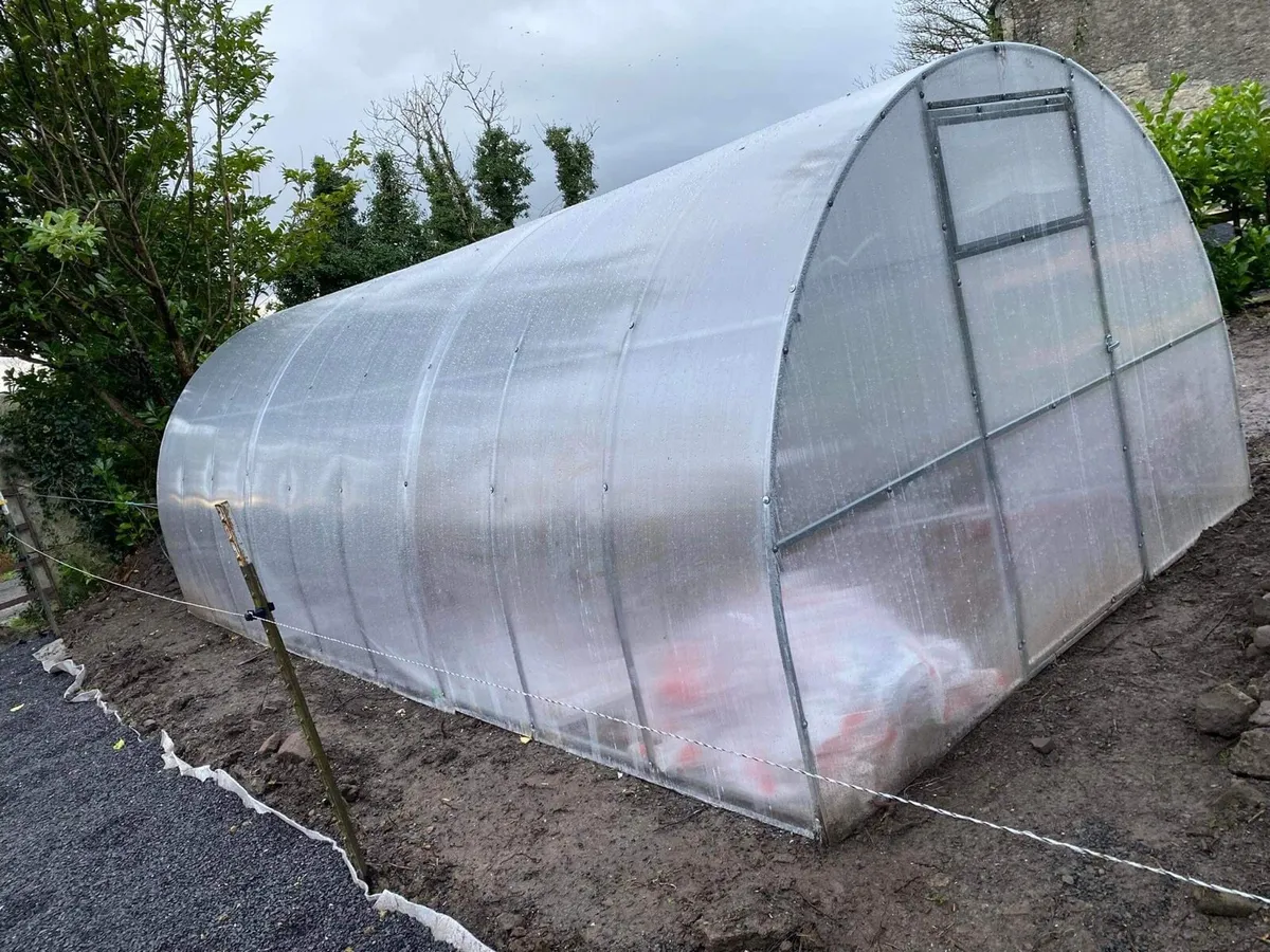 Greenhouse - Image 2