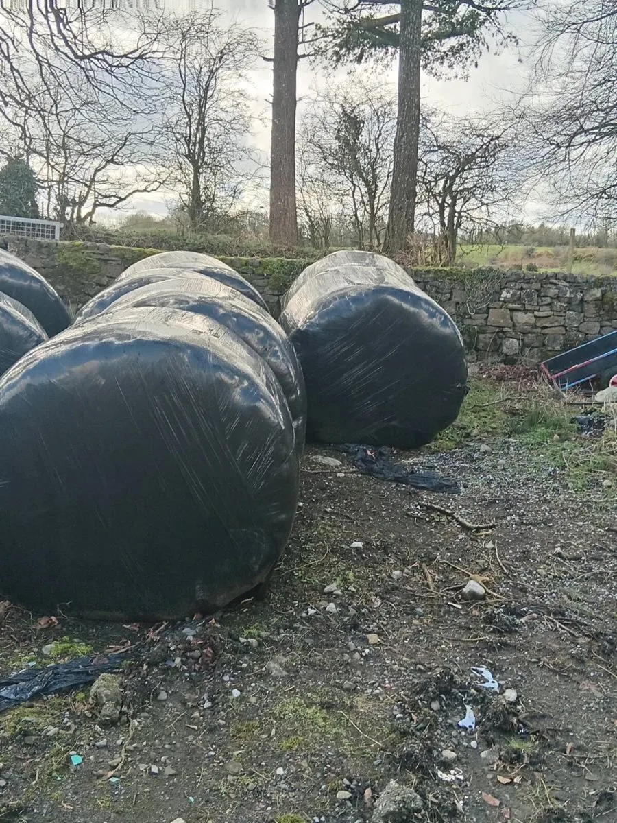 Silage Bales - Image 1
