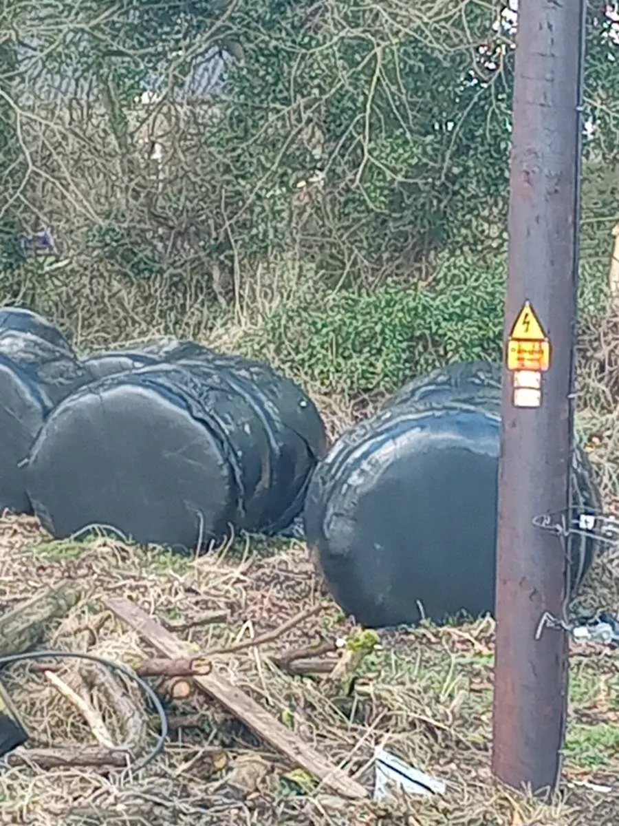 Silage Bales - Image 3