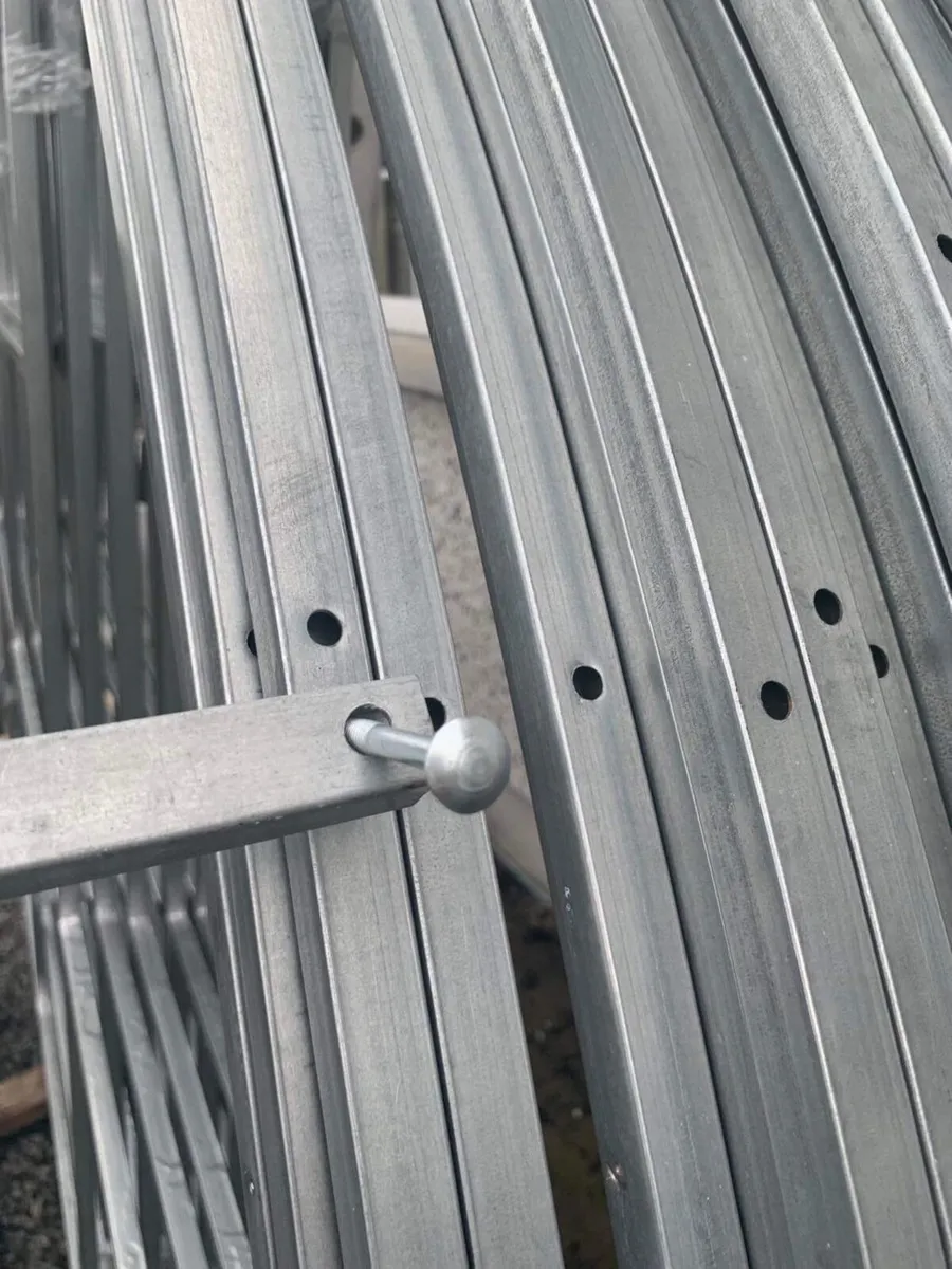 Greenhouse - Image 4