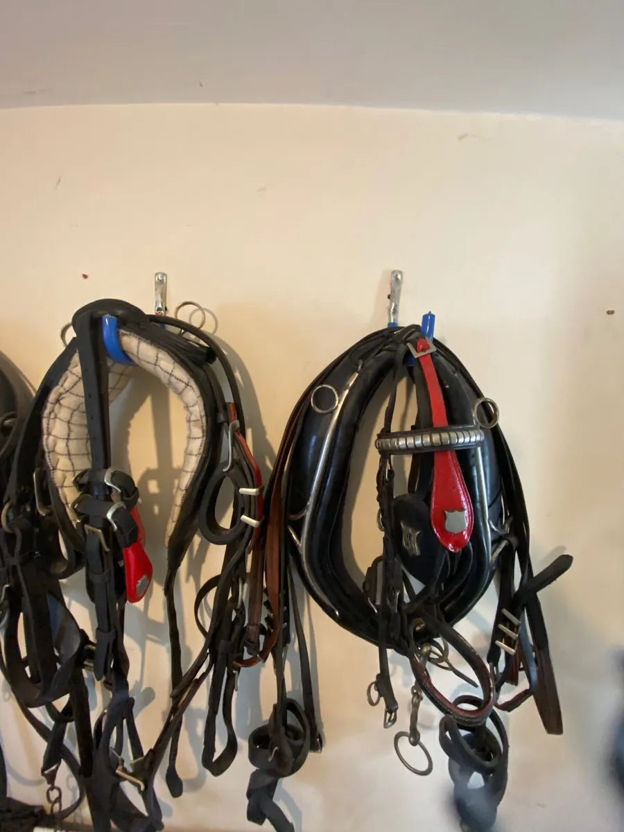 Trade harness - Image 1