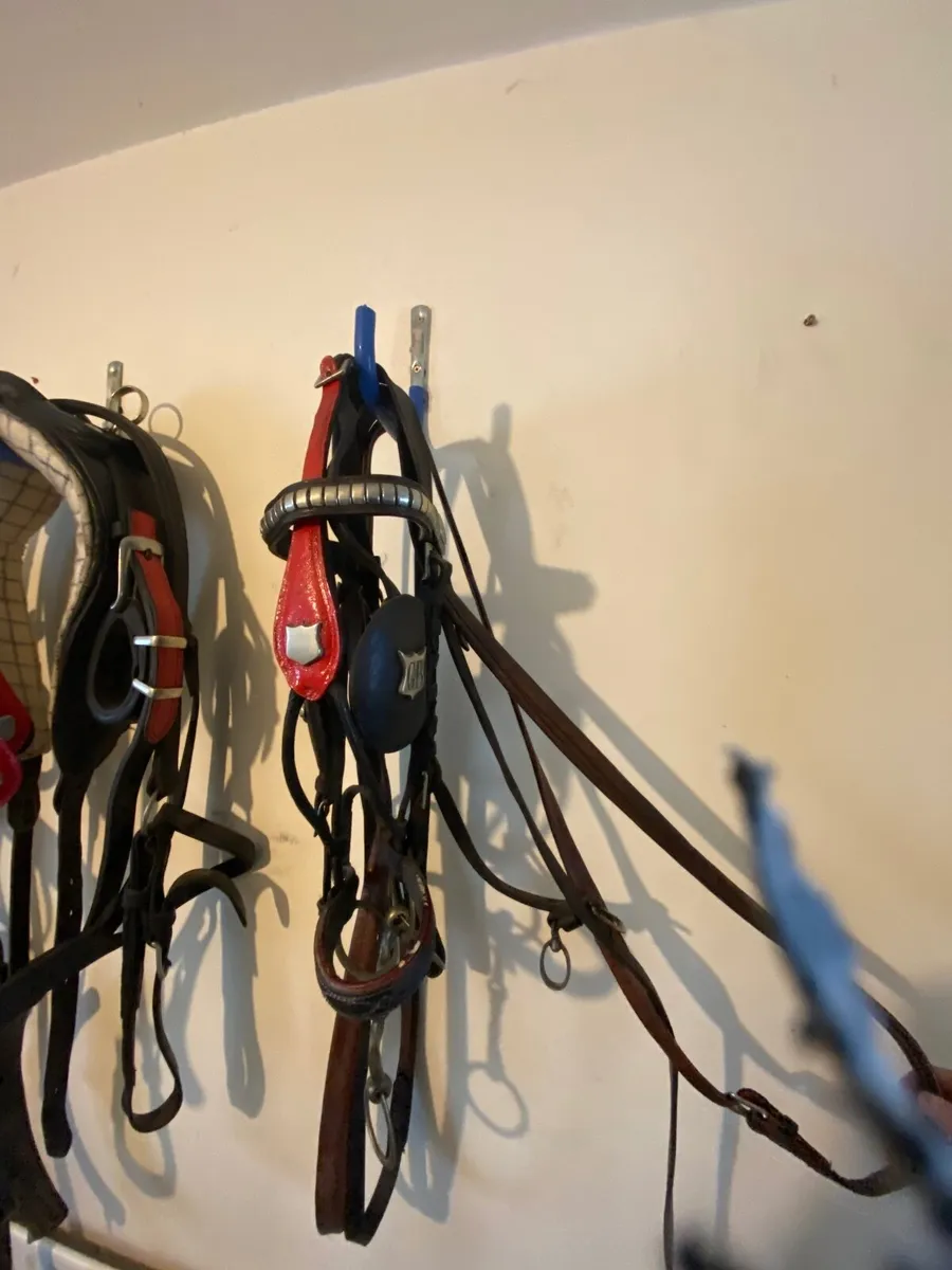 Trade harness - Image 3