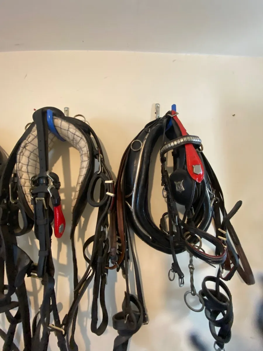 Trade harness - Image 2