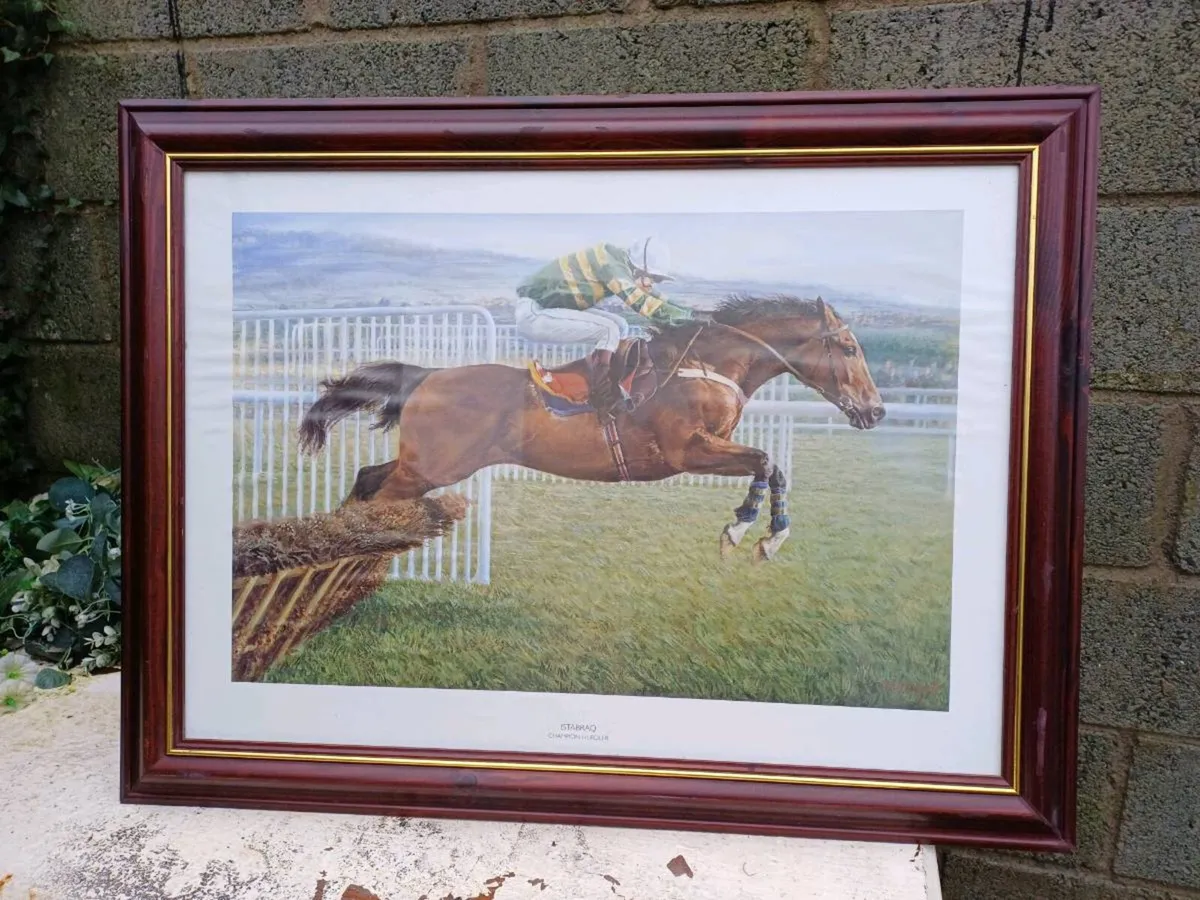 Vintage Racehorse ISTABRAQ PICTURE - Image 4