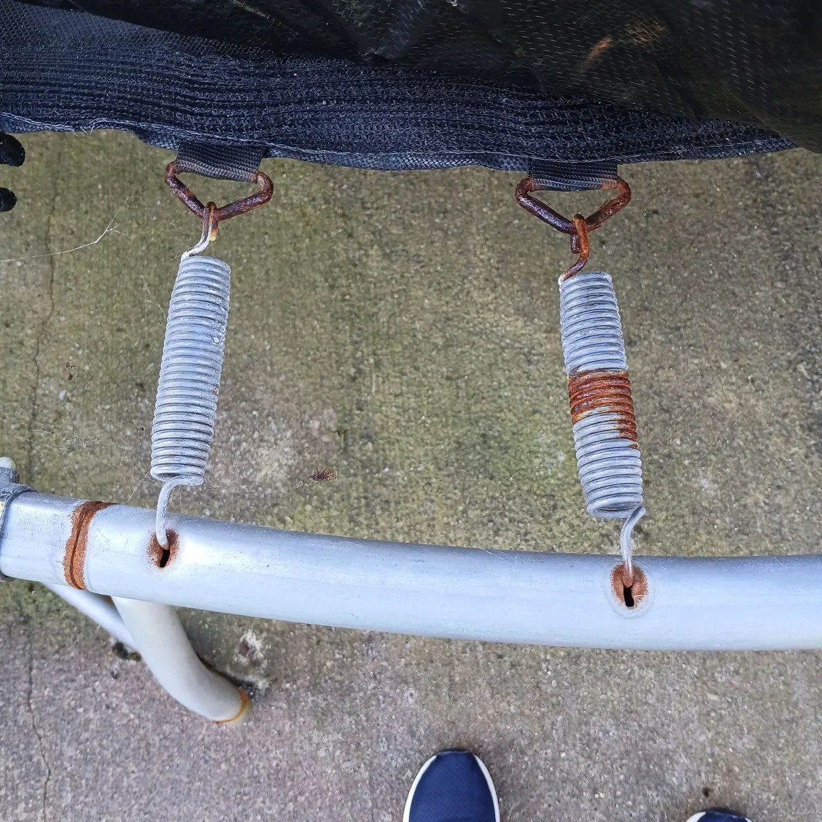 FREE Trampoline - Image 2