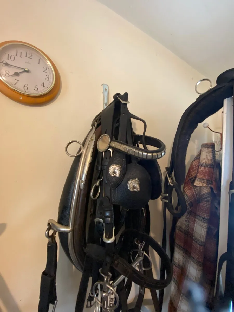 Trade harness - Image 3