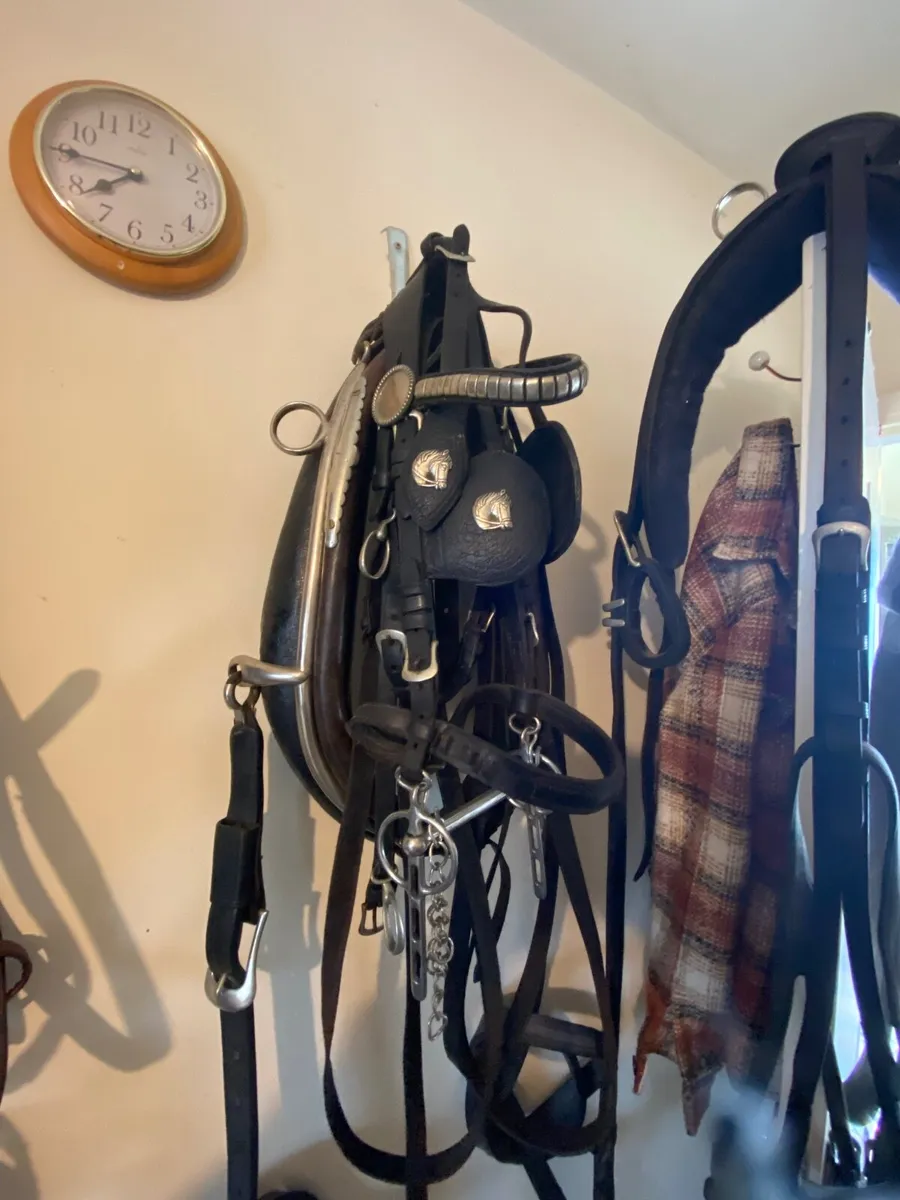 Trade harness - Image 1