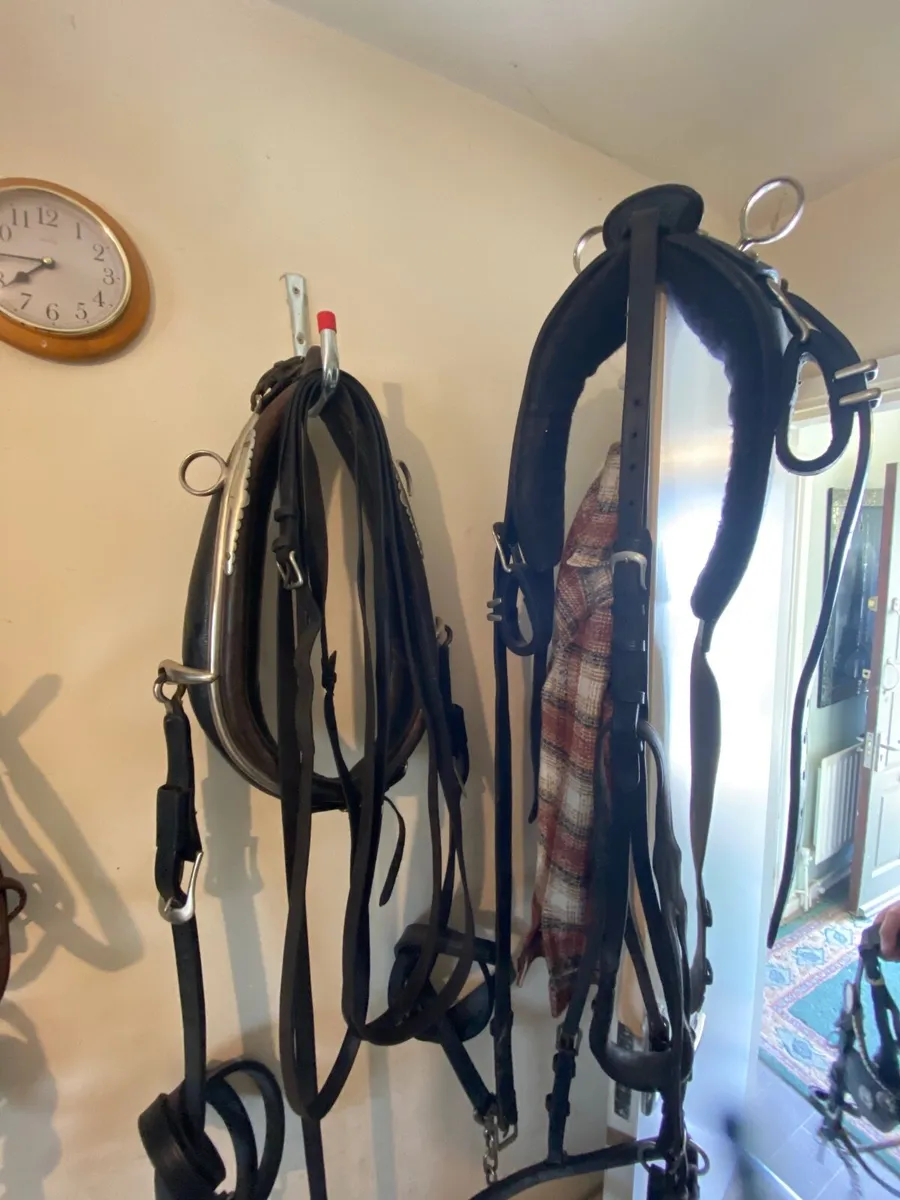 Trade harness - Image 2