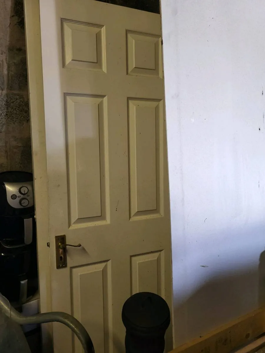 Internal doors - Image 1