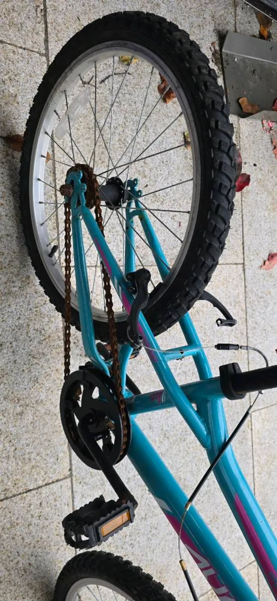 Avery 20 Girls Bike - Image 4