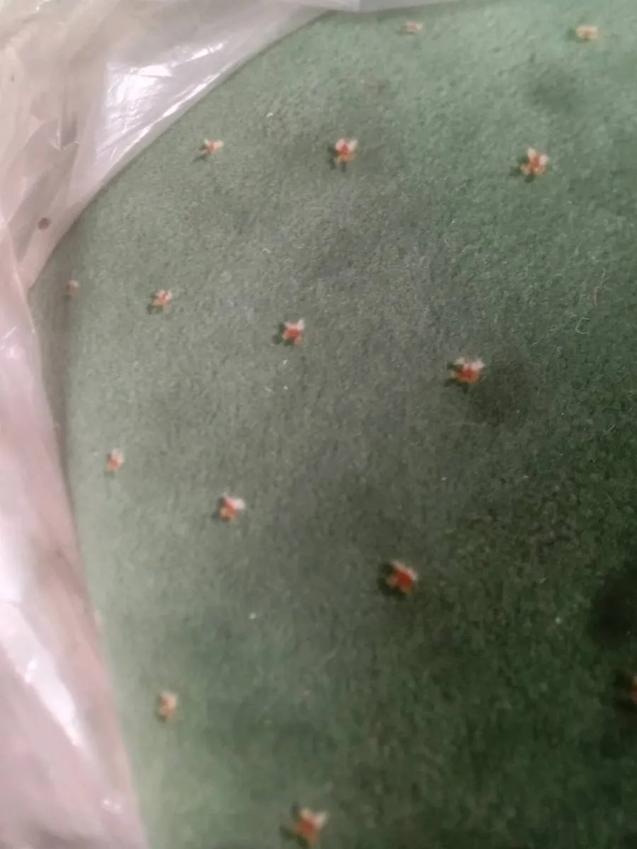 Carpet 16x16 app - Image 3