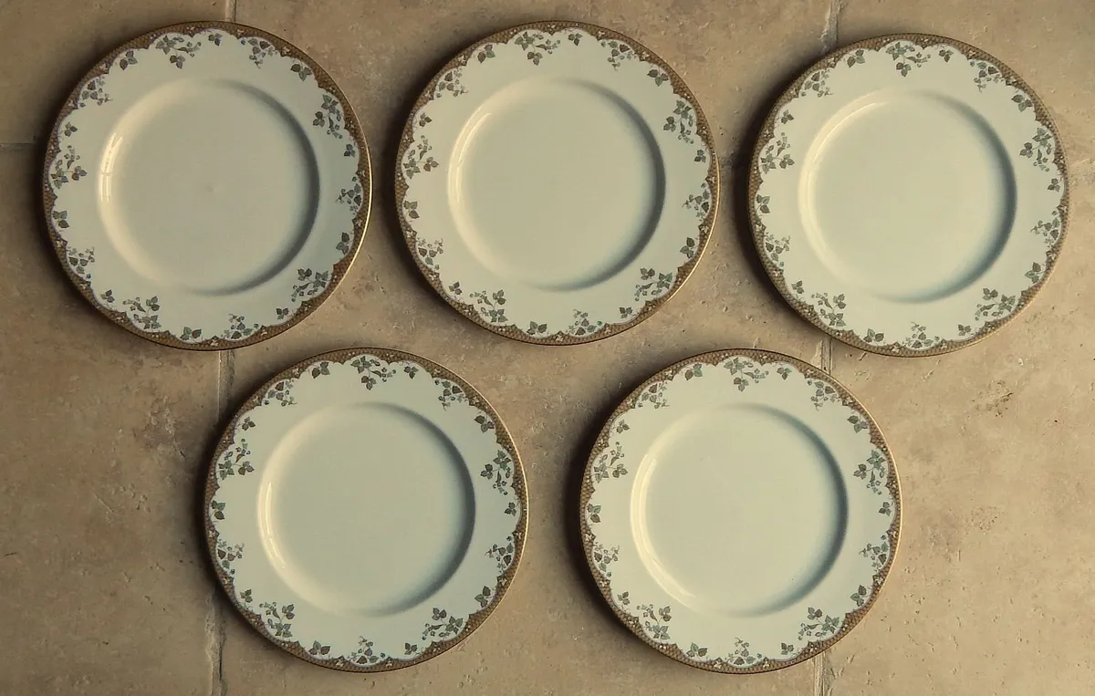 Collection of 5 Royal Doulton Lynnewood Plates - Image 1