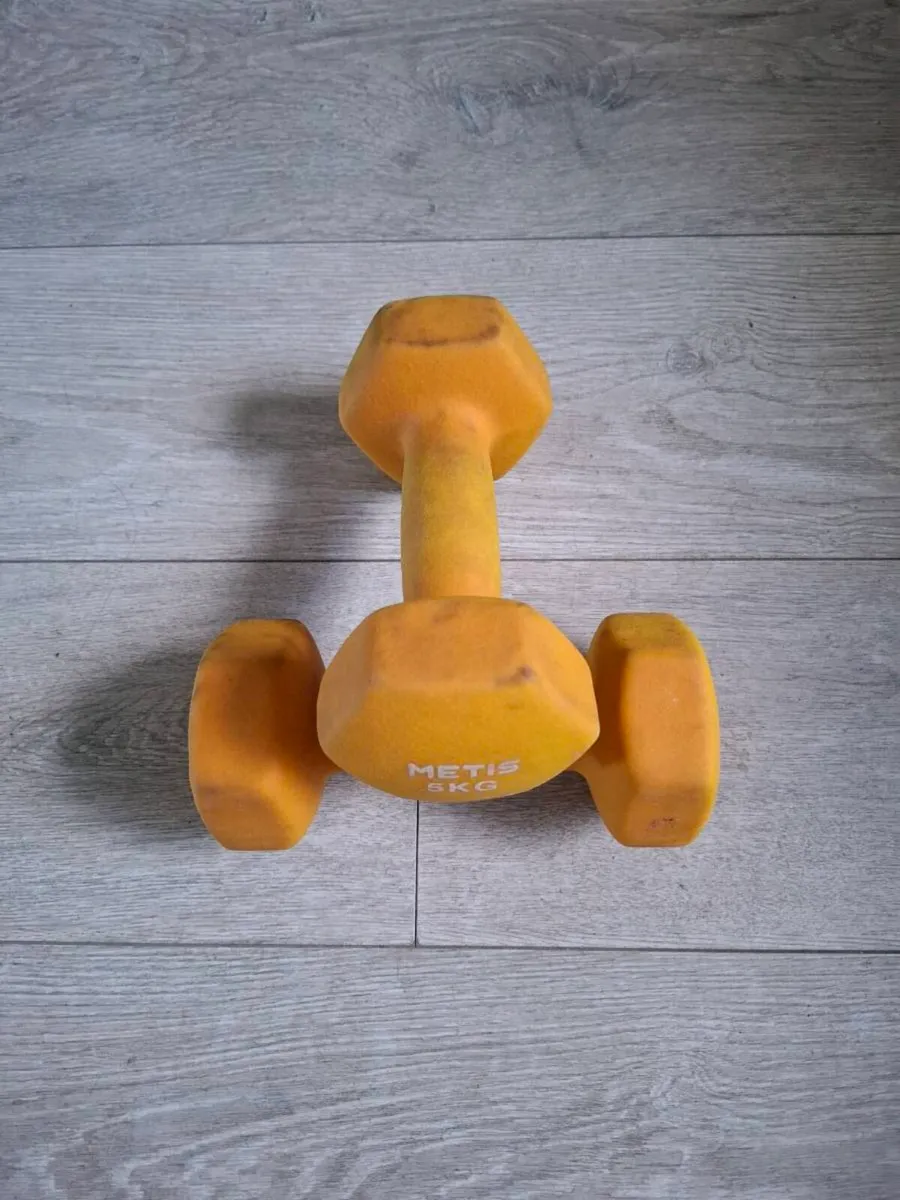 5kg Dummbells - Image 1