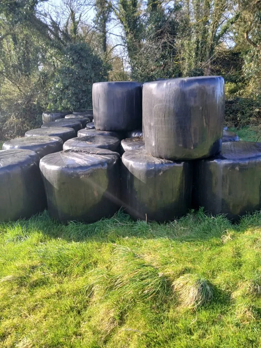 Silage - Image 1