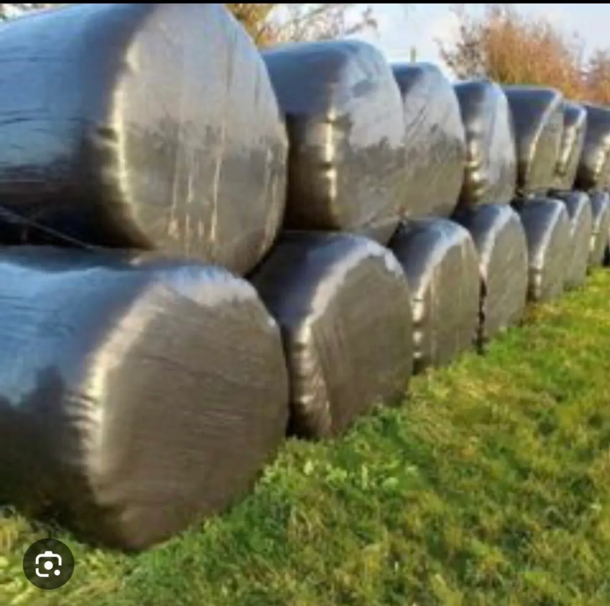 Silage Bales