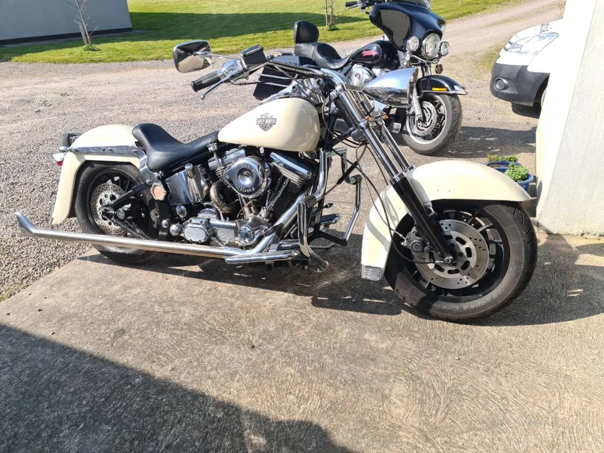 Harley davidson softail - Image 1