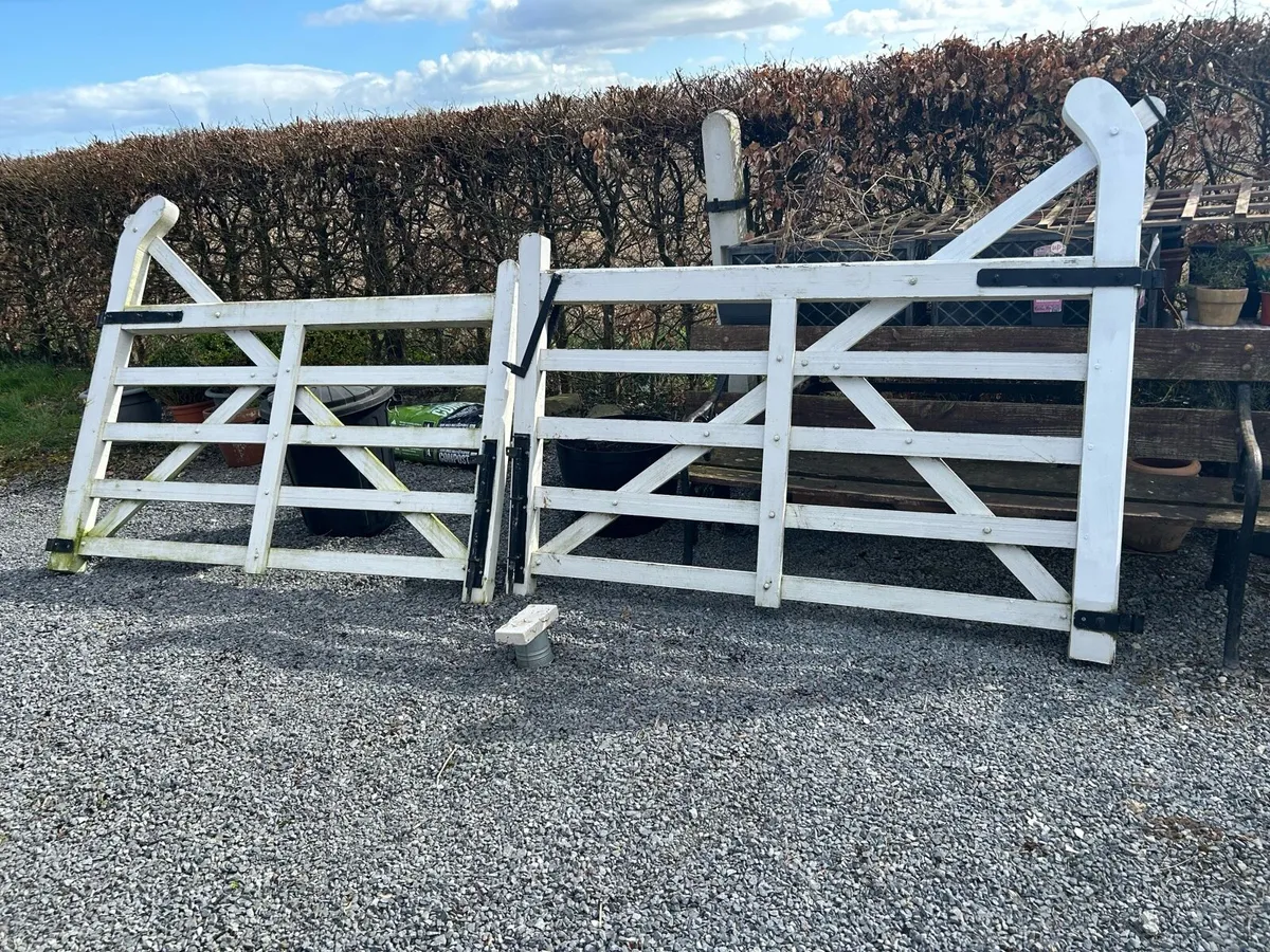 Gate - 12 ft goose neck gate - Image 1