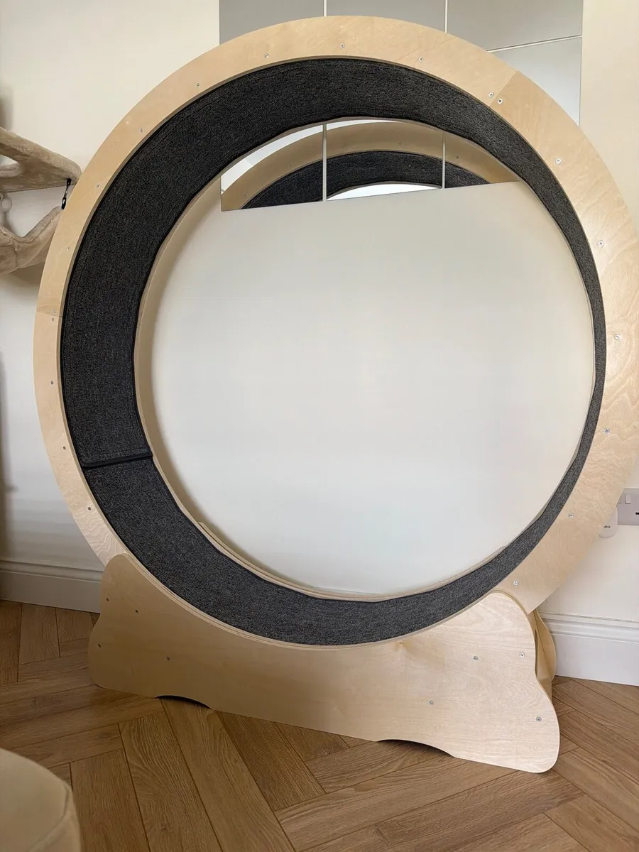 Cat Exercising Wheel - Image 2