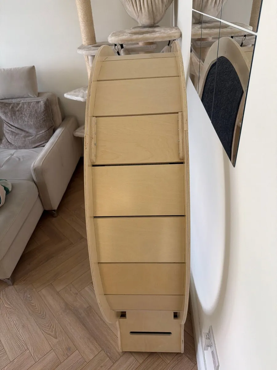 Cat Exercising Wheel - Image 3