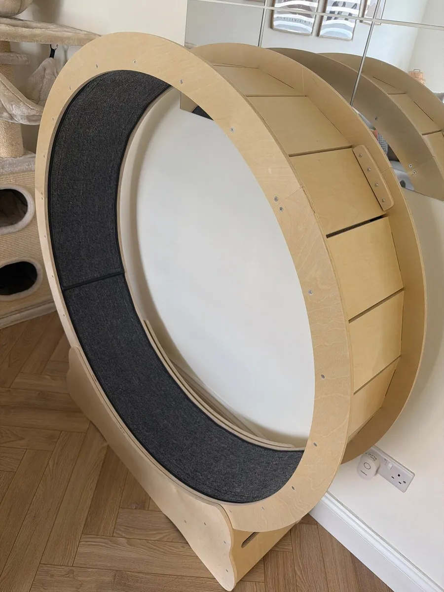 Cat Exercising Wheel - Image 4