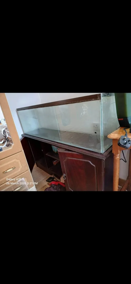 Fish Tank - Image 1