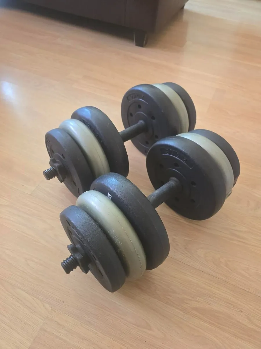 Dumbbells 2×12kg