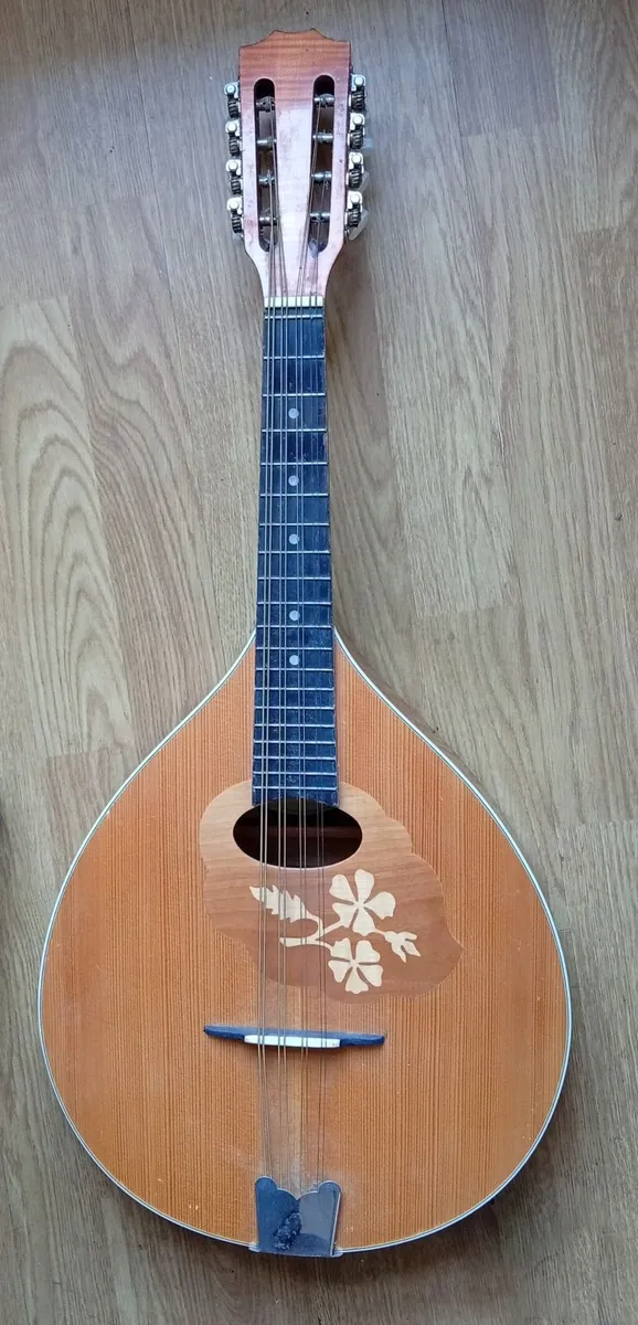 Mandola - Image 1