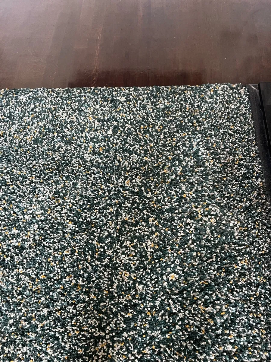 Multi Coloures fleck Shaggy Rug - Image 3