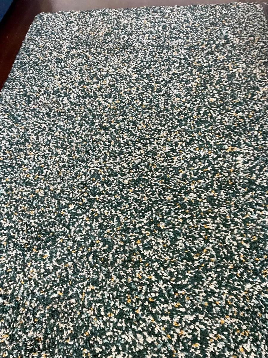 Multi Coloures fleck Shaggy Rug - Image 4