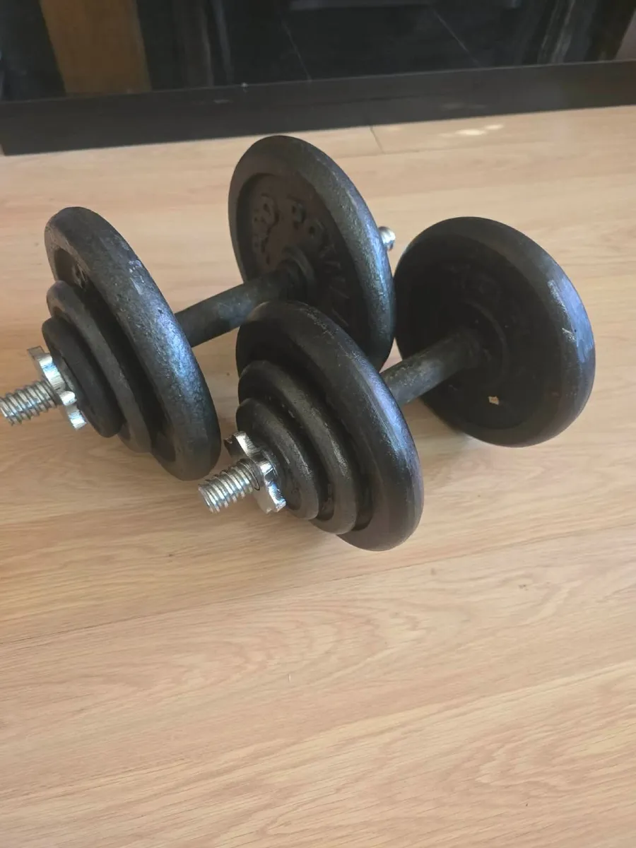 Dumbbells 2×15kg