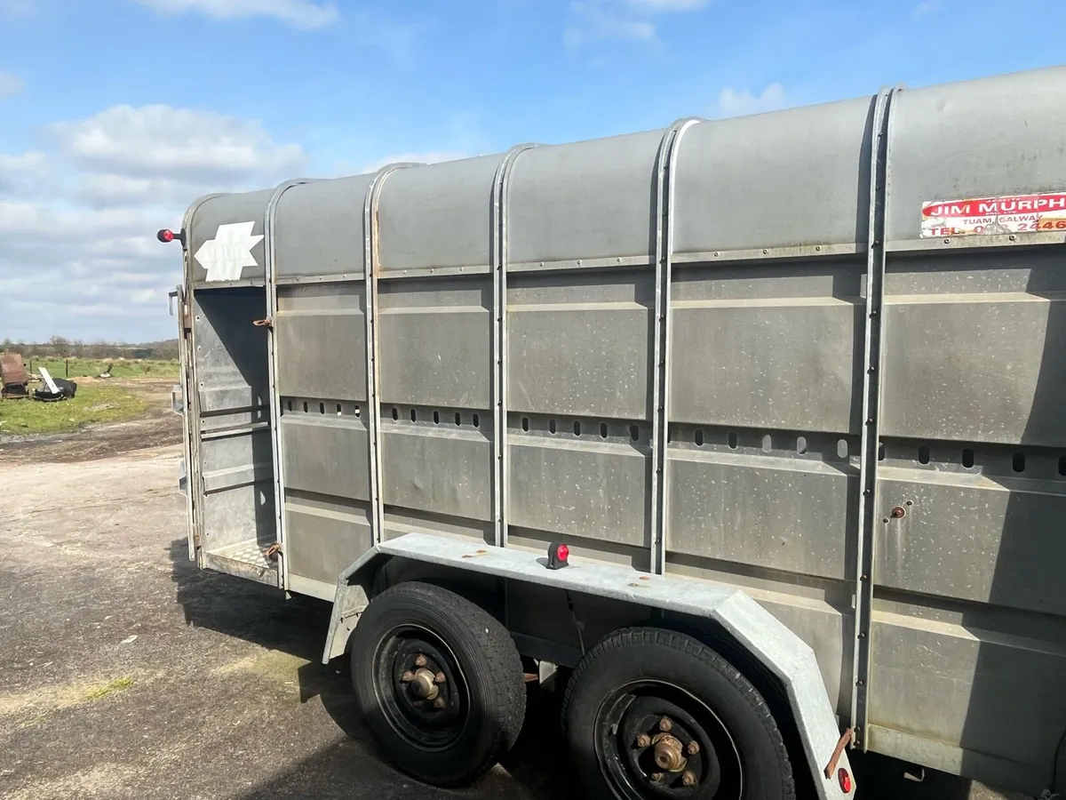 Jim Murphy cattle trailer - Image 3